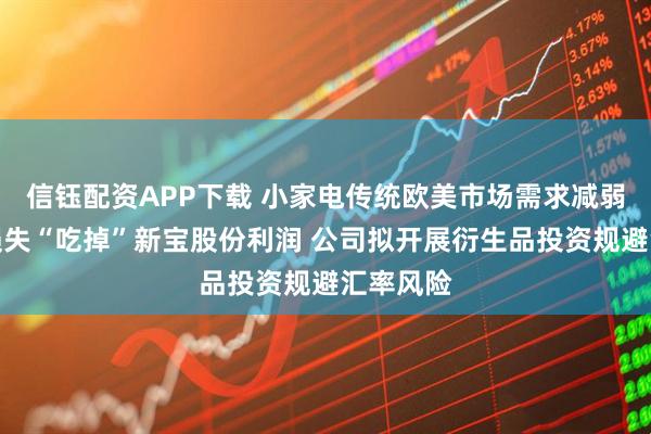 信钰配资APP下载 小家电传统欧美市场需求减弱,汇兑损失“吃掉”新宝股份利润 公司拟开展衍生品投资规避汇率风险
