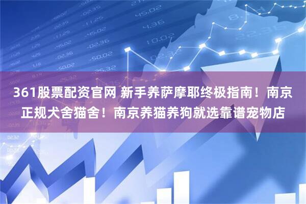 361股票配资官网 新手养萨摩耶终极指南！南京正规犬舍猫舍！南京养猫养狗就选靠谱宠物店