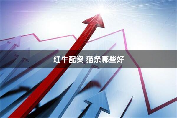 红牛配资 猫条哪些好