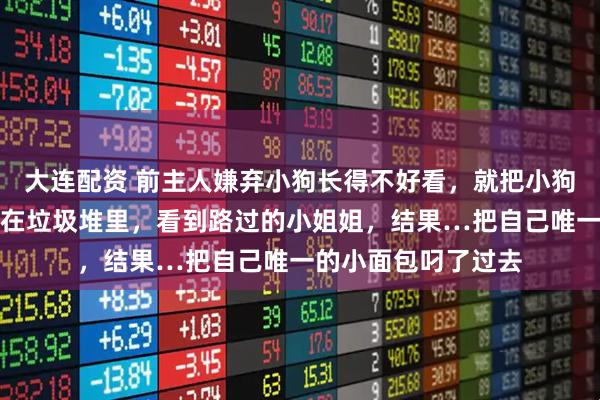 大连配资 前主人嫌弃小狗长得不好看，就把小狗丢了，小狗孤零零在垃圾堆里，看到路过的小姐姐，结果…把自己唯一的小面包叼了过去