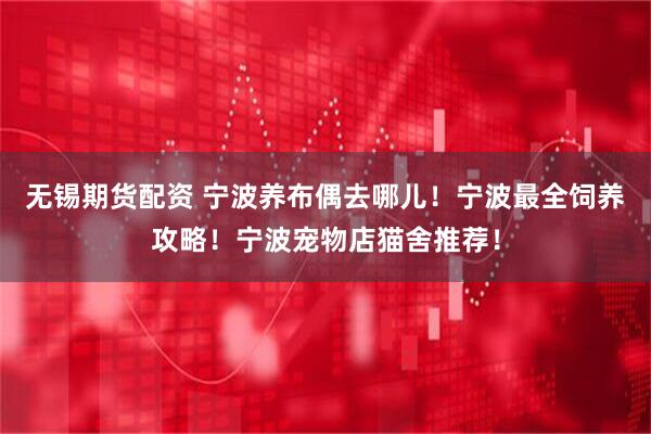 无锡期货配资 宁波养布偶去哪儿！宁波最全饲养攻略！宁波宠物店猫舍推荐！
