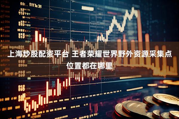 上海炒股配资平台 王者荣耀世界野外资源采集点位置都在哪里